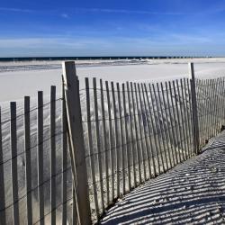 Orange Beach 354 condominios