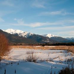 Valemount 23 cottage