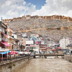 Bayburt ホテル1軒