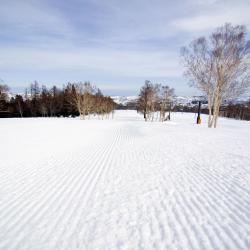 Nozawa Onsen 116 hotel