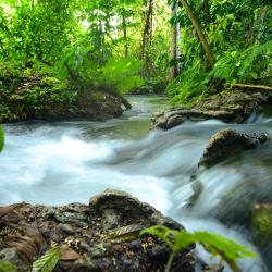 Khlong Thom 6 parkimisega hotelli