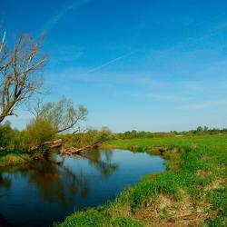 Rieste 11 obiektów na wynajem sezonowy