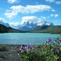 Torres del Paine