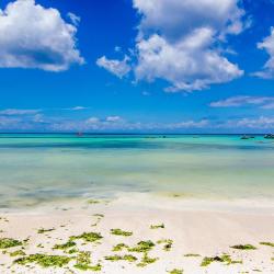 Kizimkazi 7 alloggi vicino alla spiaggia