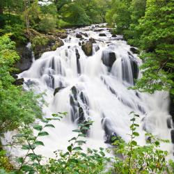 Betws-y-coed 94 holiday rental