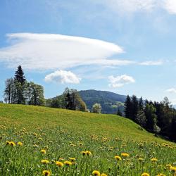 Fladnitz an der Teichalm 3 heilsulindarhótel