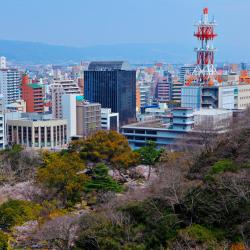 Wakayama 6 penginapan dengan onsen