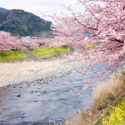 Iwakura 1 hotel