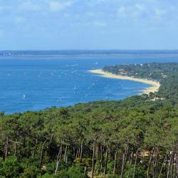 Cap Ferret 14 cottage