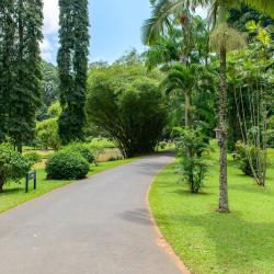 Peradeniya 34 hôtels