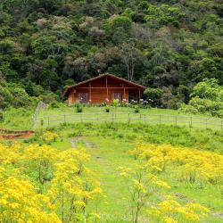 Rancho Queimado 24 case de vacanță