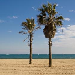 L'Hospitalet de l'Infant 40 ferieboliger ved stranden