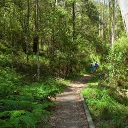 Dandenong 8 sewaan penginapan