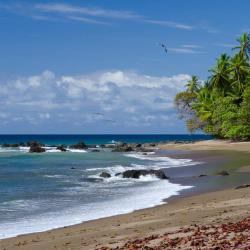 Playa Flamingo Nastanitev ob plaži (109)