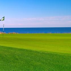 Vale do Lobo 63 hytter