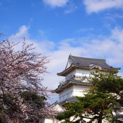 Aizuwakamatsu 24 hotel