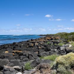 Port Fairy 223 hotels