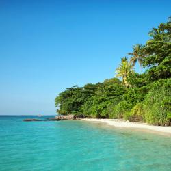 Karimunjawa 3 bungalows