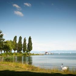 Immenstaad am Bodensee 85 beach rentals