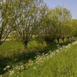 Geel 18 Ferienunterkünfte