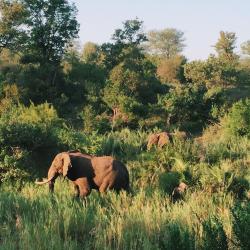 Empangeni 16 hotéis