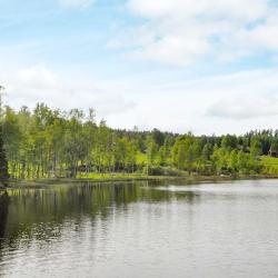 Töcksfors 4 semesterhus