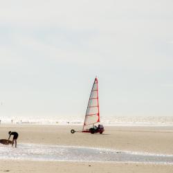 Bray-Dunes 29 obiektów na wynajem sezonowy