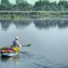 Dal Lake hotelei