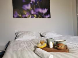 Broholm Bed&Breakfast, Hotel in Lidköping