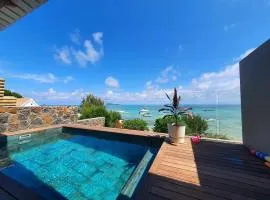 Luxury beachfront villa with private pool - Jolly's Rock