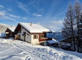 Bettmeralp Chalet Zendorn