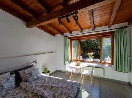 Rustico al Sole - Just renewed 1bedroom home in Ronco sopra Ascona, hotell i Ronco sopra Ascona