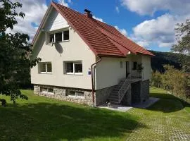 Holiday house with a parking space Vrbovsko, Gorski kotar - 20539