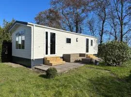 Chalet 550 op Recreatiepark de Wielen