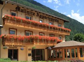 Hotel Mallnitz، فندق في مالنيتز