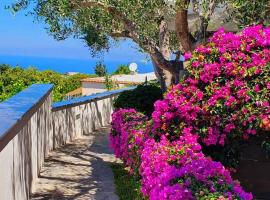 Appartamenti Luongo, huisdiervriendelijk hotel in Ischia