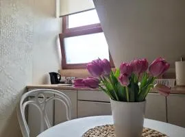 Apartament Bright ASD Studio