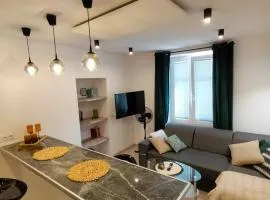 Apartament w centrum miasta przy parku i jeziorze