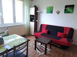 Apartmán v podhůří Krušných hor、ソコロフのホテル