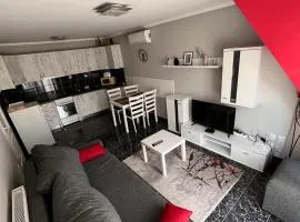 Viki Apartman