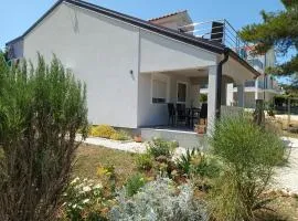 APARTMAN BILI GALEB