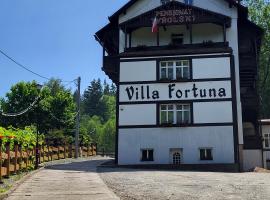 Villa Fortuna，杜什尼基茲德魯伊的飯店