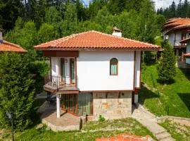 Pamporovo Cottage Savov