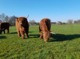 Hannekenbuurs kleine Kune Kune Farm, hotell i Weeze