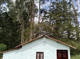 Casa Enverdes