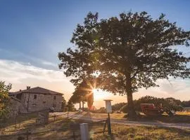 Masseria Del Bosco - Podere Palazzone