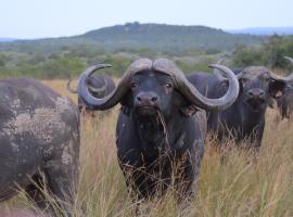 Bushwa Private Game Lodge, hotel di Vaalwater