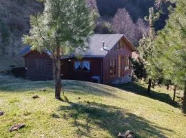 Tierras Altas de la Patagonia- Cabaña mediana con acceso al lago