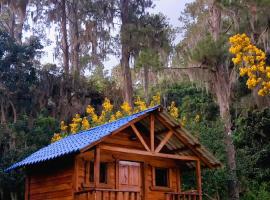 Pinar del Valle - Glamping en el Bosque - Propiedad Completa en Constanza, hotell sihtkohas Constanza