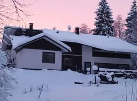 Atmospheric house on riverbank